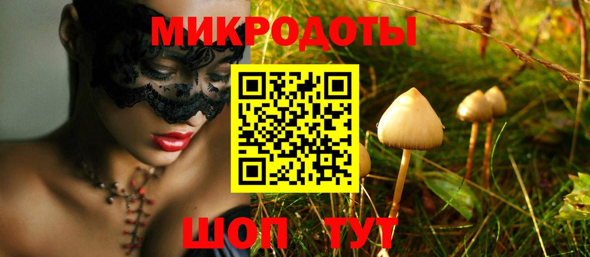 Будённовск  Галлюциногенные грибы Magic Shrooms  Вход с VPN 